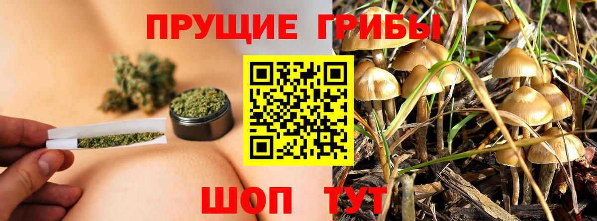 Галлюциногенные грибы Cubensis  Вход с VPN  Выкса 